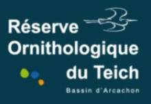 Réserve naturelle Le Teich Réserve ornithologique du Teich
